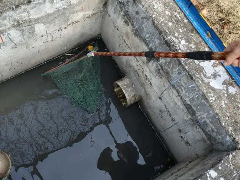 凤岗专业最诚信的疏通清洗、化粪池污水处理专家